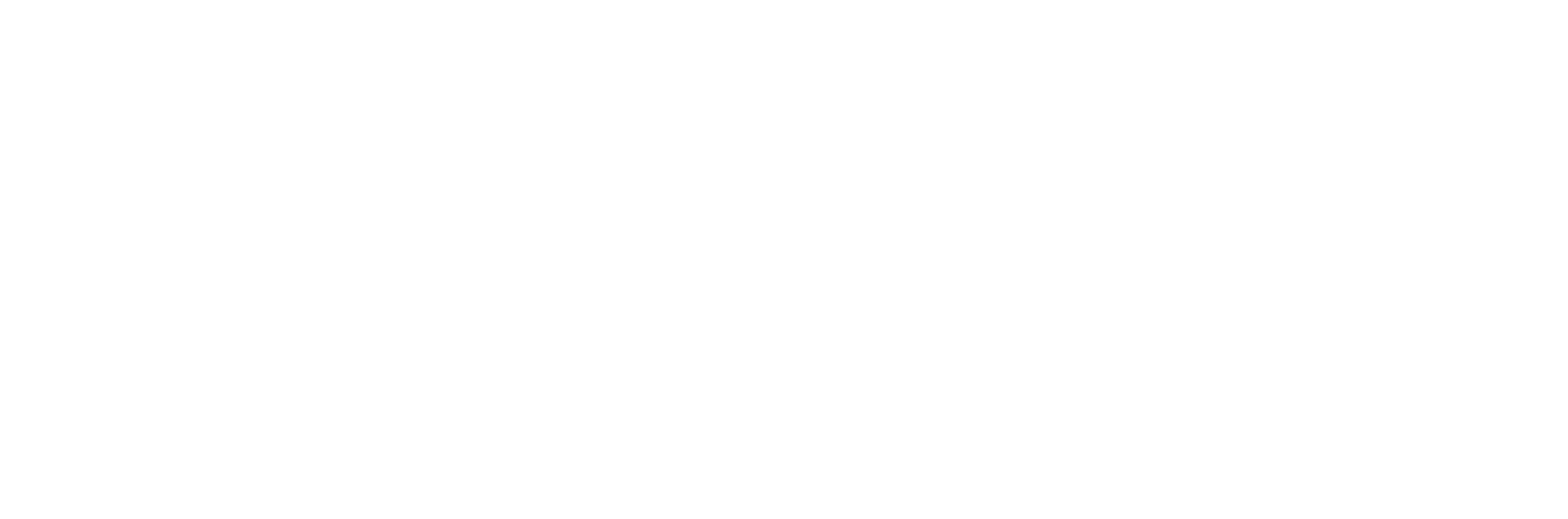 Haase-Schimanski-Grau-Logo White